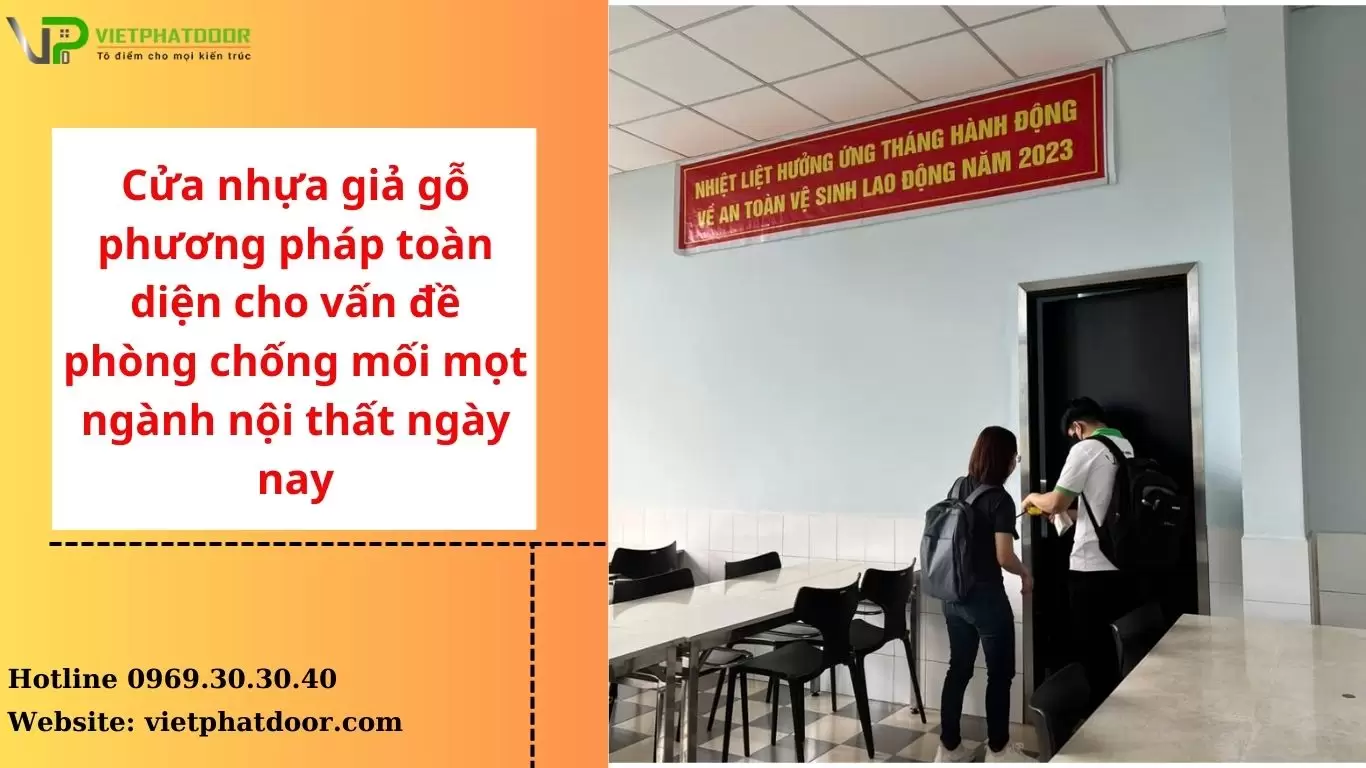 Cửa nhựa giả gỗ phương pháp toàn diện cho vấn đề phòng chống mối mọt ngành nội thất ngày nay